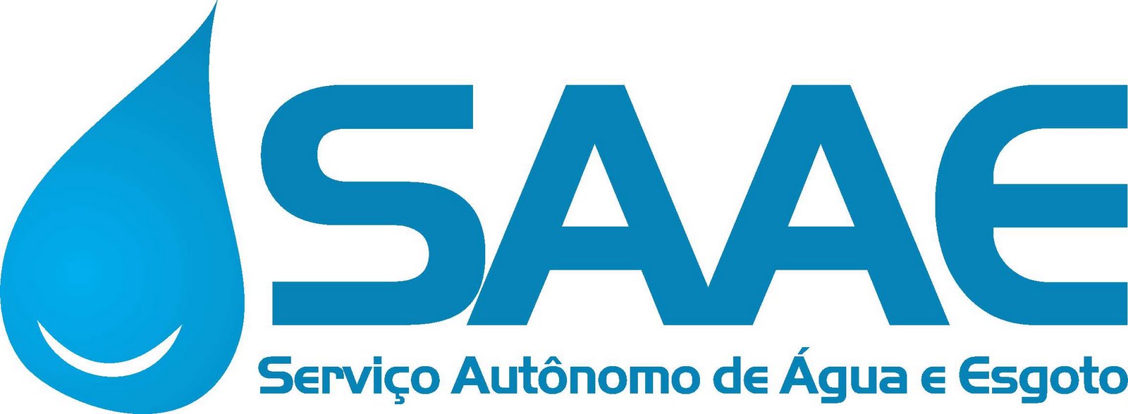 saae2010-corel-131420749825