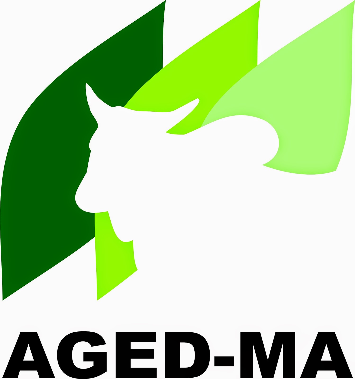 concurso_aged_ma_2015